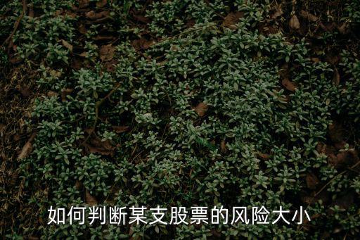 如何判斷某支股票的風險大小
