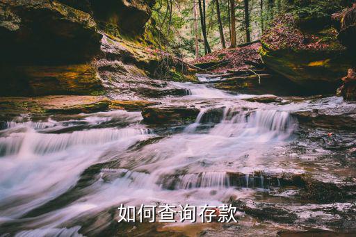 存單怎么查看定期存款，如何查詢存款