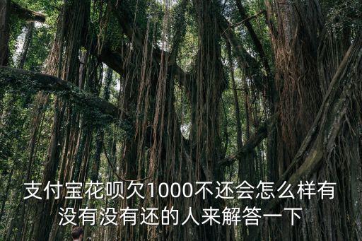 小額1000不還怎么樣，欠支付寶花唄1000多元 不還有什么后果求助