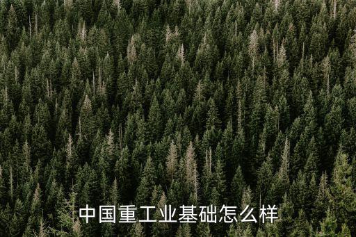 中國重工業(yè)基礎怎么樣