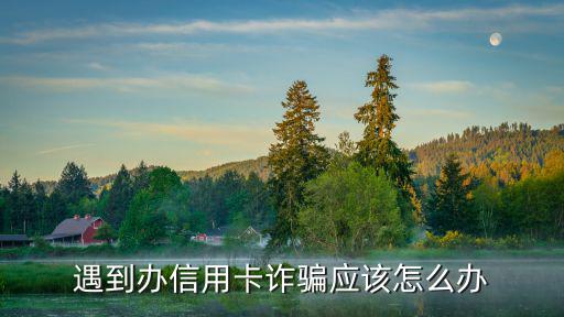 辦理信用卡詐騙怎么辦，我現(xiàn)在到網(wǎng)上辦信用卡感覺被騙怎么辦