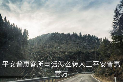 平安普惠客所電話怎么轉(zhuǎn)人工平安普惠官方
