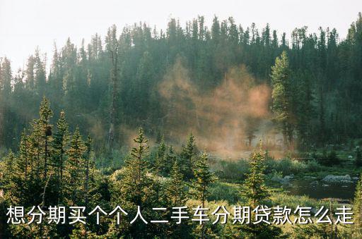 想分期買個(gè)個(gè)人二手車分期貸款怎么走