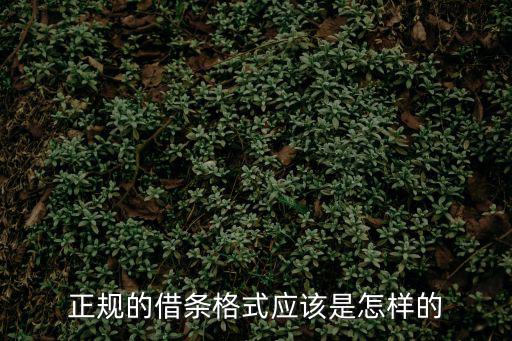 正規(guī)的借條格式應(yīng)該是怎樣的