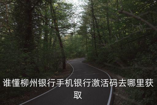 誰懂柳州銀行手機(jī)銀行激活碼去哪里獲取