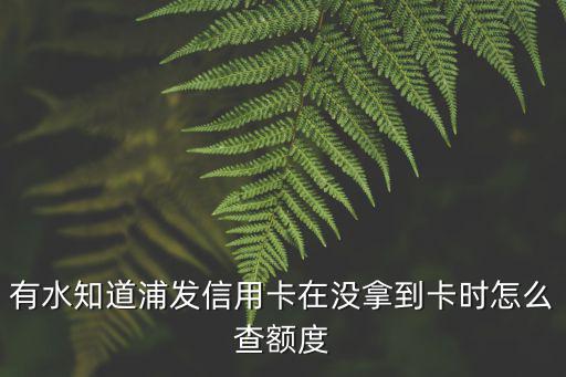 浦發(fā)萬用金怎么查額度，浦發(fā)銀行的余額在網(wǎng)上怎么查啊