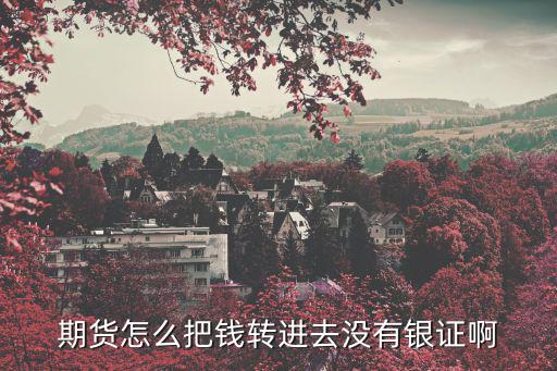 期貨怎么把錢轉(zhuǎn)進去沒有銀證啊