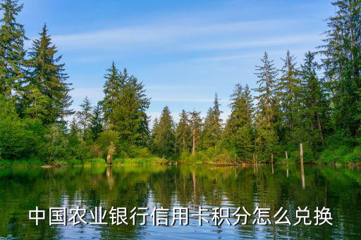 中國農(nóng)業(yè)銀行信用卡積分怎么兌換