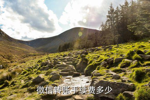微信轉(zhuǎn)賬手續(xù)費多少