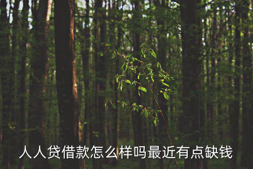 人人貸借款怎么樣嗎最近有點缺錢