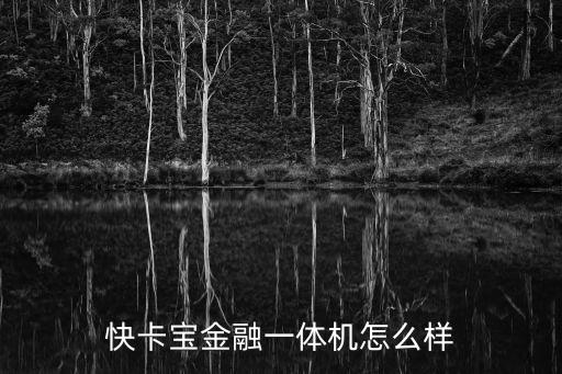 快卡寶金融一體機(jī)怎么樣