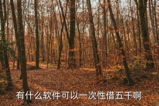 怎么快速借5000app，有什么軟件可以一次性借五千啊