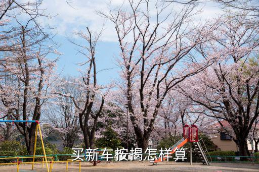 新車(chē)按揭怎么算法，買(mǎi)車(chē)貸款怎么算法