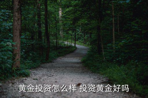 投資黃金怎么樣2017，黃金投資怎么樣 投資黃金好嗎