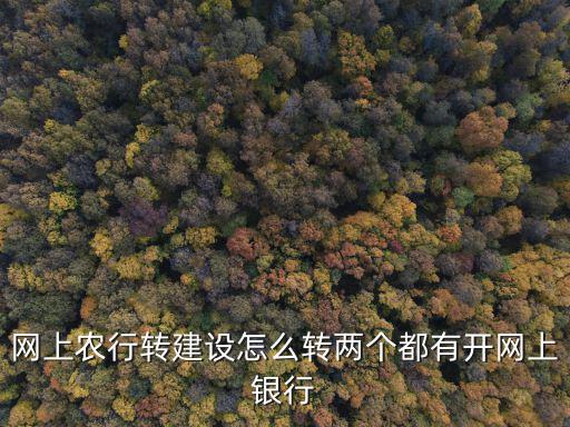 網(wǎng)上農(nóng)行轉(zhuǎn)建設(shè)怎么轉(zhuǎn)兩個(gè)都有開網(wǎng)上銀行