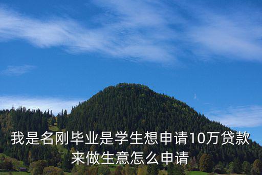 我是名剛畢業(yè)是學(xué)生想申請10萬貸款來做生意怎么申請