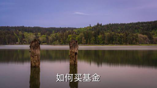道瓊斯指數(shù)基金怎么買，如何買基金