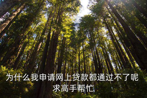 網(wǎng)商貸怎么開(kāi)通不了，為什么我申請(qǐng)網(wǎng)上貸款都通過(guò)不了呢 求高手幫忙