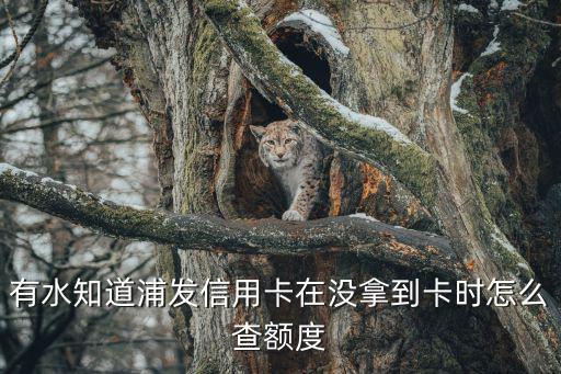 浦發(fā)白金卡額度怎么查，有水知道浦發(fā)信用卡在沒(méi)拿到卡時(shí)怎么查額度