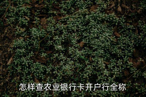 怎樣查農(nóng)業(yè)銀行卡開戶行全稱