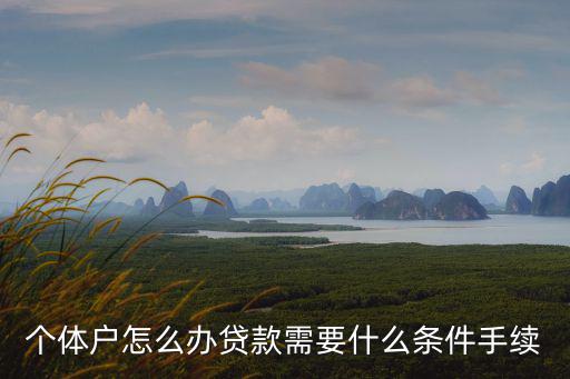 個(gè)體戶怎么辦貸款需要什么條件手續(xù)