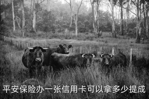 平安保險辦一張信用卡可以拿多少提成