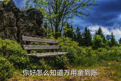 浦發(fā)萬用金怎么變成0了，不小心點(diǎn)了浦發(fā)銀行萬用金然后客服立馬打過來提示掛了以后收