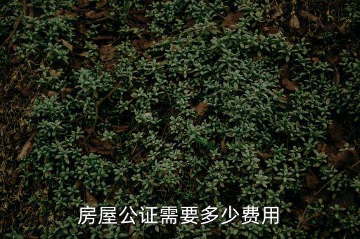 抵押房屋公正怎么收費(fèi)標(biāo)準(zhǔn)，用房子抵押請問法院保全房產(chǎn)怎么收費(fèi)標(biāo)