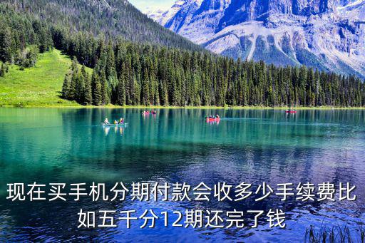 現(xiàn)在買手機(jī)分期付款會收多少手續(xù)費(fèi)比如五千分12期還完了錢