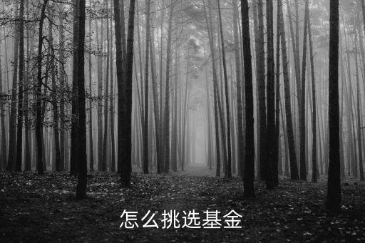 怎么挑選基金