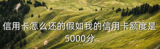 信用卡額度是怎么還款，信用卡怎么還的假如我的信用卡額度是5000分