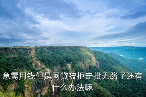 急需用錢(qián)但是網(wǎng)貸被拒走投無(wú)路了還有什么辦法嘛