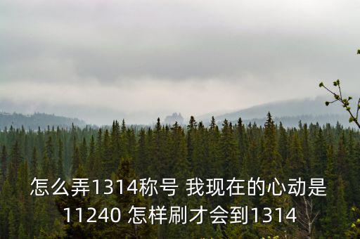 怎么才能出樂惠金，怎么弄1314稱號 我現(xiàn)在的心動是11240 怎樣刷才會到1314