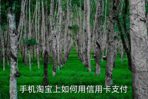 淘寶付款怎么用信用卡，如何在淘寶上使用信用卡支付寶付款