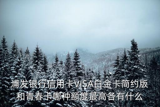 浦發(fā) 青春卡 怎么樣，浦發(fā)銀行信用卡VISA白金卡簡(jiǎn)約版和青春卡哪種額度最高各有什么