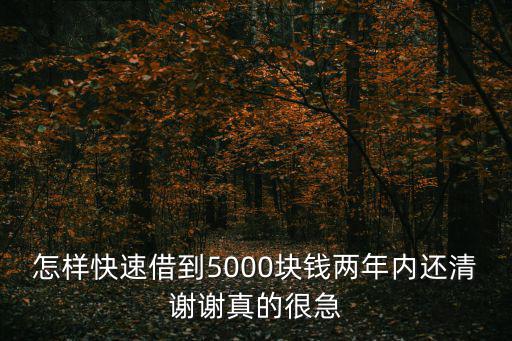 怎樣快速借到5000塊錢兩年內(nèi)還清謝謝真的很急