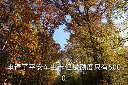 平安車主白金卡怎么用，平安車主安心卡怎么激活