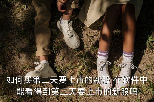 如何買第二天要上市的新股 在軟件中能看得到第二天要上市的新股嗎