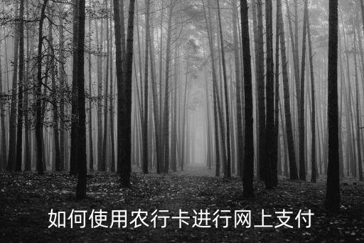 農(nóng)行支付終端怎么使用，如何使用農(nóng)行卡進(jìn)行網(wǎng)上支付