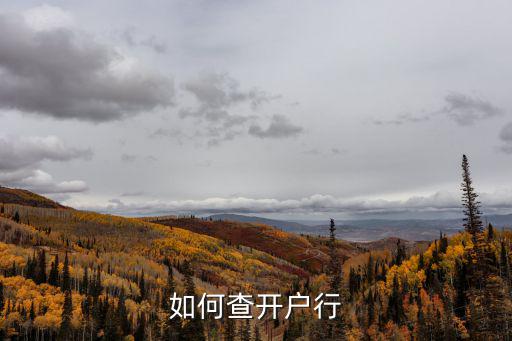 如何查開戶行