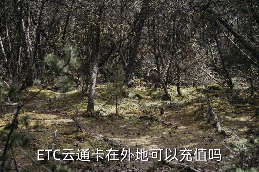 外省的etc怎么充值，ETC云通卡在外地可以充值嗎