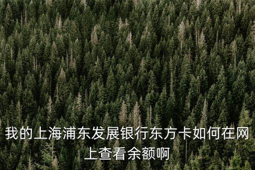 浦發(fā)短信怎么查額度，有水知道浦發(fā)信用卡在沒拿到卡時(shí)怎么查額度