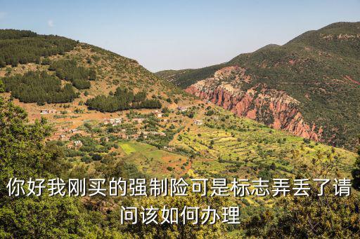 你好我剛買的強(qiáng)制險(xiǎn)可是標(biāo)志弄丟了請(qǐng)問該如何辦理