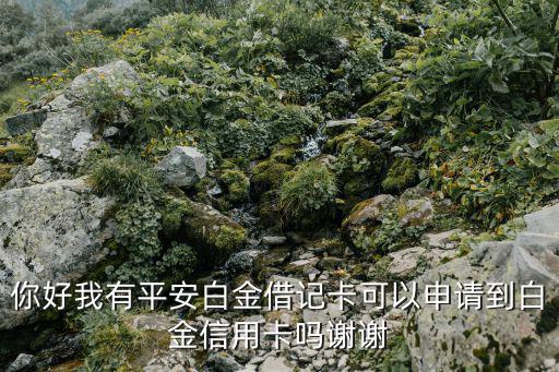平安白金信用卡怎么申請，平安保險銀行信譽卡怎樣申請