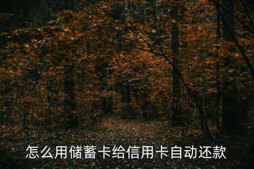 怎么用儲(chǔ)蓄卡給信用卡自動(dòng)還款
