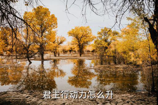 君主行動(dòng)力怎么升