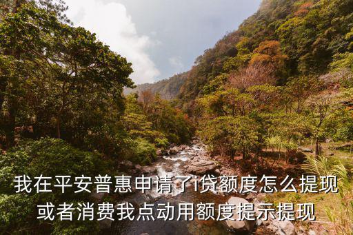 我在平安普惠申請(qǐng)了i貸額度怎么提現(xiàn)或者消費(fèi)我點(diǎn)動(dòng)用額度提示提現(xiàn)