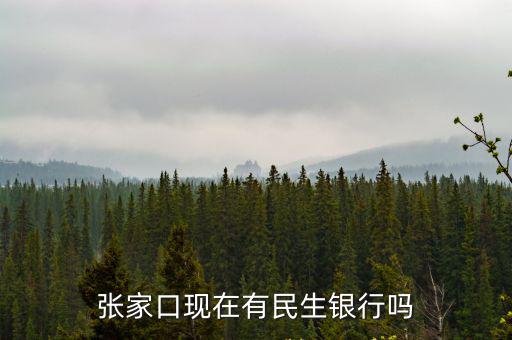 張家口民生銀行怎么樣，張家口銀行和民生銀行哪個安全點