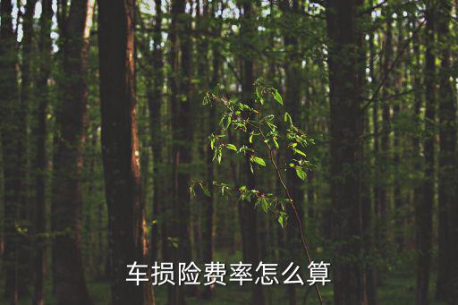 車損險(xiǎn)費(fèi)率怎么算