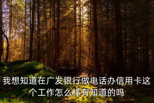 我想知道在廣發(fā)銀行做電話辦信用卡這個(gè)工作怎么樣有知道的嗎